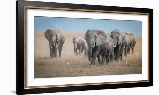 Remember the Titans-Jeffrey C. Sink-Framed Photographic Print