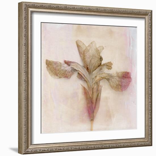 Remembered Flowers I-Judy Stalus-Framed Photographic Print