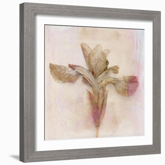 Remembered Flowers I-Judy Stalus-Framed Photographic Print