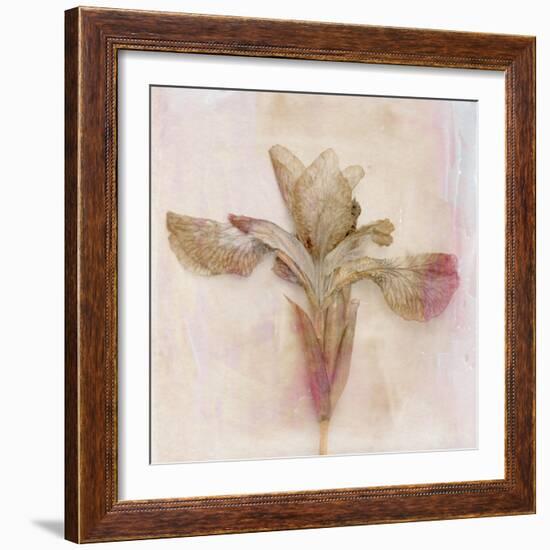 Remembered Flowers I-Judy Stalus-Framed Photographic Print