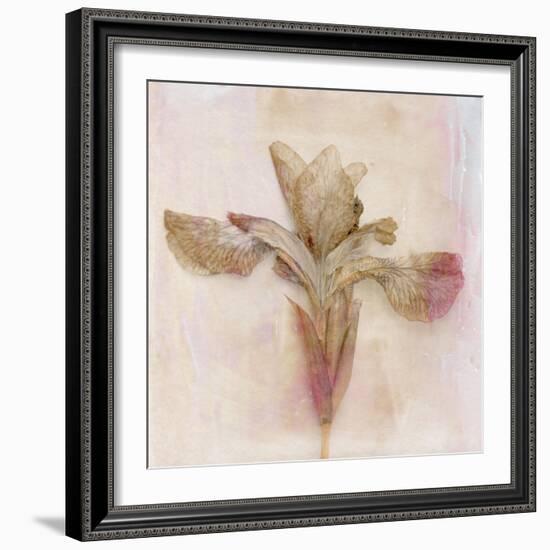 Remembered Flowers I-Judy Stalus-Framed Photographic Print