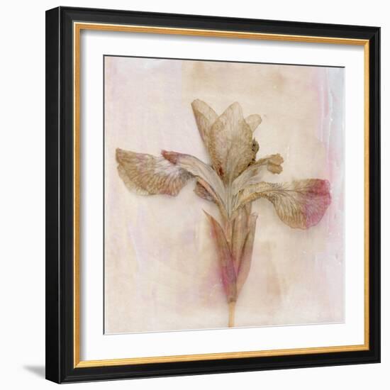 Remembered Flowers I-Judy Stalus-Framed Photographic Print