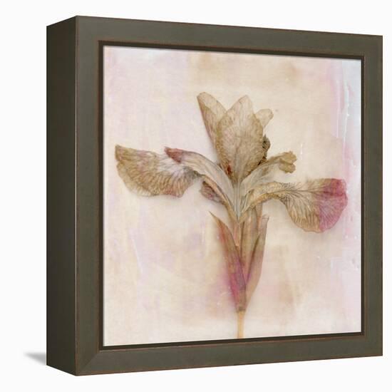 Remembered Flowers I-Judy Stalus-Framed Premier Image Canvas