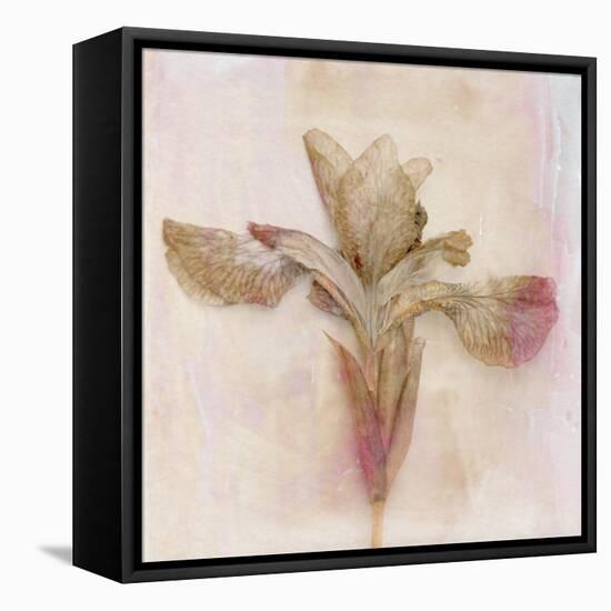 Remembered Flowers I-Judy Stalus-Framed Premier Image Canvas