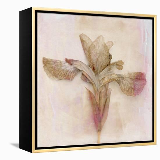 Remembered Flowers I-Judy Stalus-Framed Premier Image Canvas