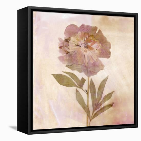 Remembered Flowers II-Judy Stalus-Framed Premier Image Canvas