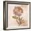 Remembered Flowers II-Judy Stalus-Framed Photographic Print