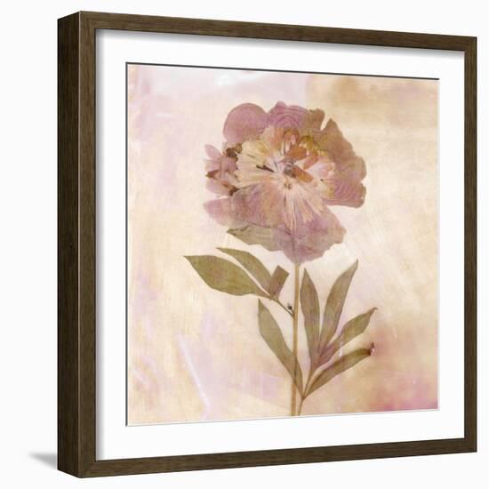 Remembered Flowers II-Judy Stalus-Framed Photographic Print