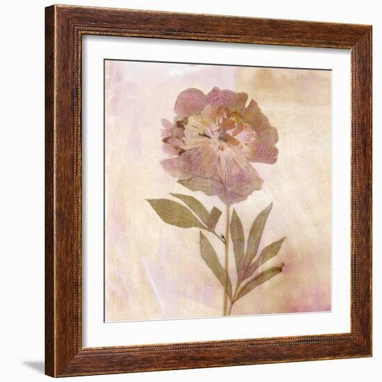 Remembered Flowers II-Judy Stalus-Framed Photographic Print