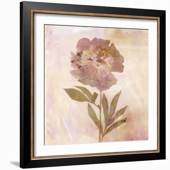 Remembered Flowers II-Judy Stalus-Framed Photographic Print