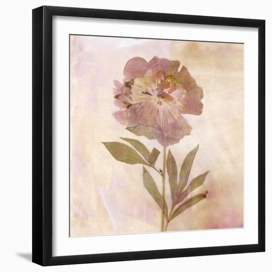 Remembered Flowers II-Judy Stalus-Framed Photographic Print