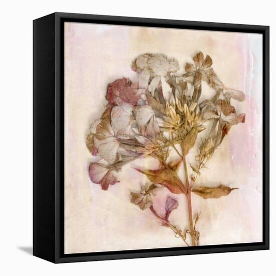 Remembered Flowers III-Judy Stalus-Framed Premier Image Canvas