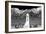 Remembrance II BW-Douglas Taylor-Framed Photo