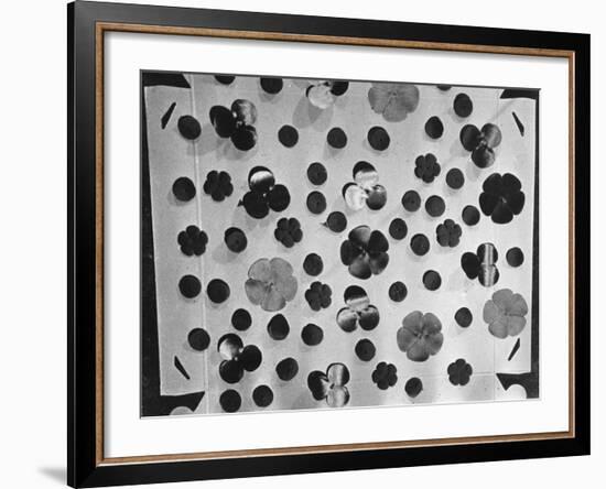 Remembrance Poppies-null-Framed Photographic Print