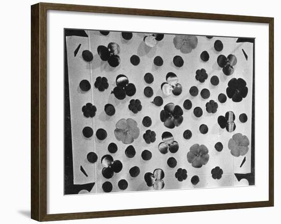 Remembrance Poppies-null-Framed Photographic Print