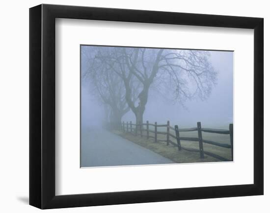 Remembrance-David Lorenz Winston-Framed Art Print