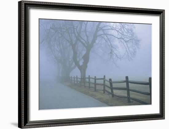 Remembrance-David Lorenz Winston-Framed Art Print