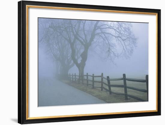 Remembrance-David Lorenz Winston-Framed Art Print