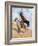 Remington: Signal, c1896-Frederic Sackrider Remington-Framed Giclee Print