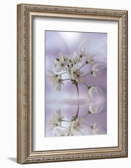 Reminiscence-Viviane Fedieu Daniel-Framed Photographic Print