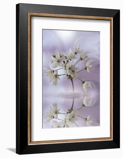 Reminiscence-Viviane Fedieu Daniel-Framed Photographic Print