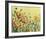 Reminiscing on a Summer Day-Jennifer Lommers-Framed Giclee Print