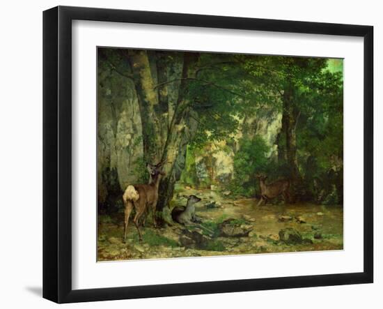 Remise de chevreuils au ruisseau de Plaisir-Fontaine. Deer reserve at Plaisir Fontaine, 1866-Gustave Courbet-Framed Giclee Print