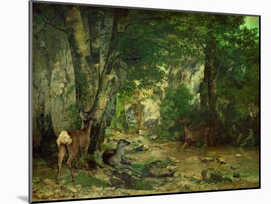 Remise de chevreuils au ruisseau de Plaisir-Fontaine. Deer reserve at Plaisir Fontaine, 1866-Gustave Courbet-Mounted Giclee Print