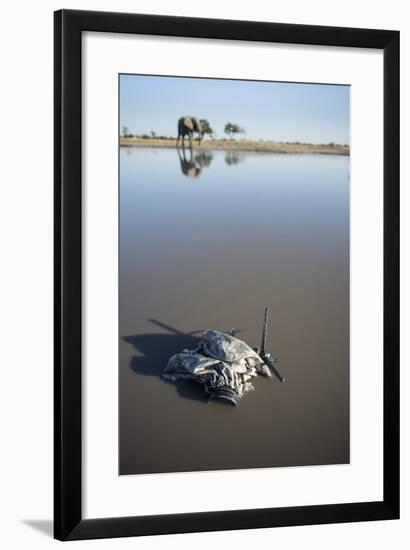 Remote Camera and African Elephant, Chobe National Park, Botswana-Paul Souders-Framed Photographic Print