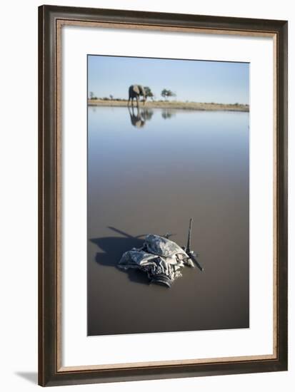 Remote Camera and African Elephant, Chobe National Park, Botswana-Paul Souders-Framed Photographic Print