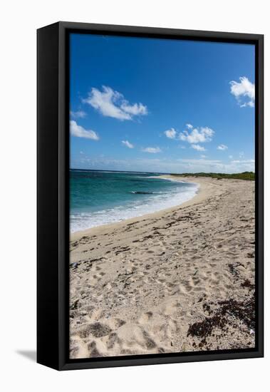 Remote White Sand Beach in Barbuda, Antigua and Barbuda, West Indies, Caribbean, Central America-Michael Runkel-Framed Premier Image Canvas