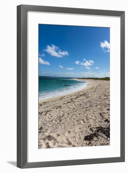 Remote White Sand Beach in Barbuda, Antigua and Barbuda, West Indies, Caribbean, Central America-Michael Runkel-Framed Photographic Print