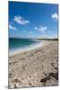 Remote White Sand Beach in Barbuda, Antigua and Barbuda, West Indies, Caribbean, Central America-Michael Runkel-Mounted Photographic Print