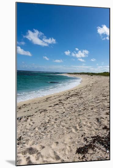 Remote White Sand Beach in Barbuda, Antigua and Barbuda, West Indies, Caribbean, Central America-Michael Runkel-Mounted Photographic Print