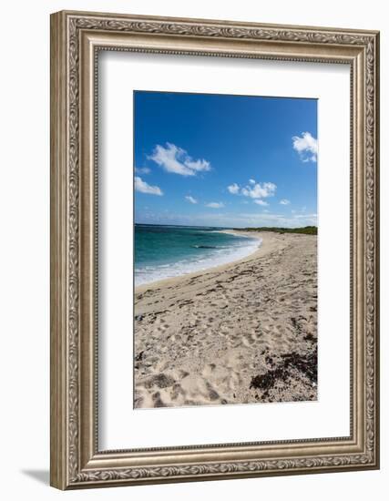 Remote White Sand Beach in Barbuda, Antigua and Barbuda, West Indies, Caribbean, Central America-Michael Runkel-Framed Photographic Print