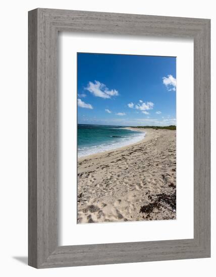 Remote White Sand Beach in Barbuda, Antigua and Barbuda, West Indies, Caribbean, Central America-Michael Runkel-Framed Photographic Print