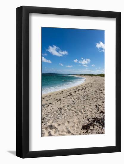 Remote White Sand Beach in Barbuda, Antigua and Barbuda, West Indies, Caribbean, Central America-Michael Runkel-Framed Photographic Print