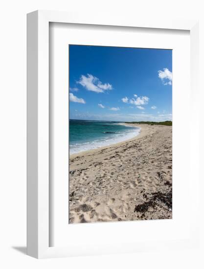 Remote White Sand Beach in Barbuda, Antigua and Barbuda, West Indies, Caribbean, Central America-Michael Runkel-Framed Photographic Print