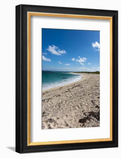 Remote White Sand Beach in Barbuda, Antigua and Barbuda, West Indies, Caribbean, Central America-Michael Runkel-Framed Photographic Print