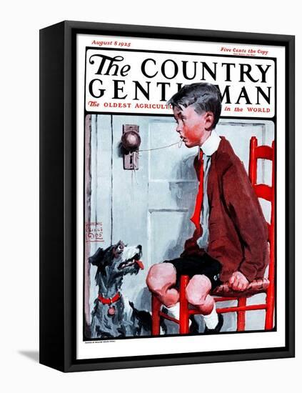 "Removing a Loose Tooth," Country Gentleman Cover, August 8, 1925-William Meade Prince-Framed Premier Image Canvas