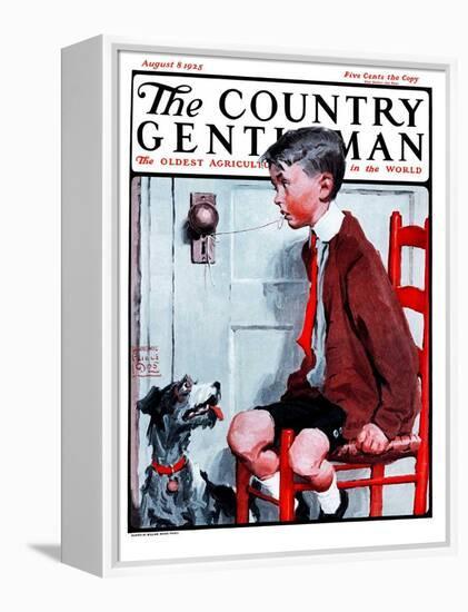 "Removing a Loose Tooth," Country Gentleman Cover, August 8, 1925-William Meade Prince-Framed Premier Image Canvas