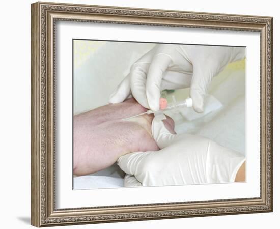 Removing An Intravenous Catheter-Arno Massee-Framed Photographic Print