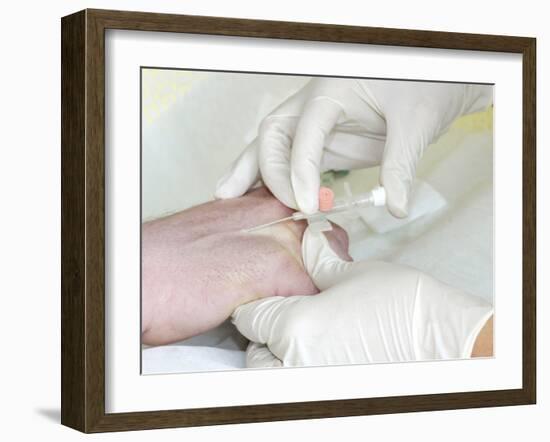 Removing An Intravenous Catheter-Arno Massee-Framed Photographic Print