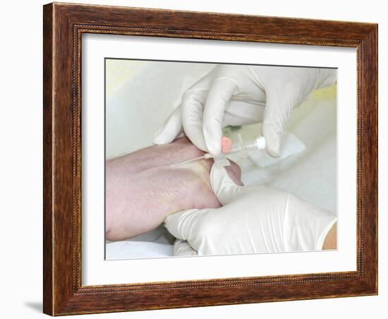 Removing An Intravenous Catheter-Arno Massee-Framed Photographic Print