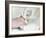 Removing An Intravenous Catheter-Arno Massee-Framed Photographic Print