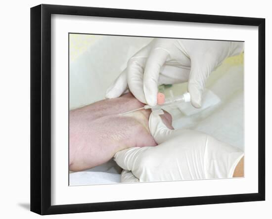 Removing An Intravenous Catheter-Arno Massee-Framed Photographic Print