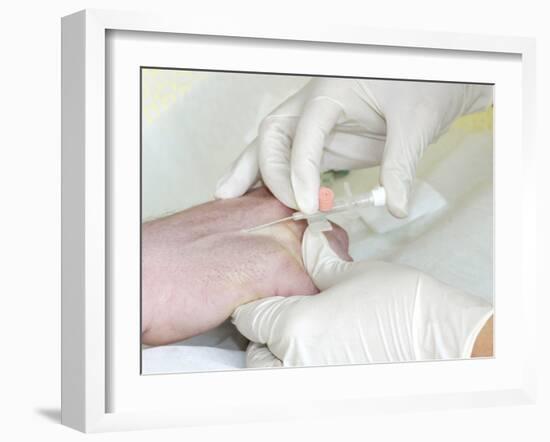 Removing An Intravenous Catheter-Arno Massee-Framed Photographic Print