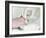 Removing An Intravenous Catheter-Arno Massee-Framed Photographic Print