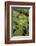 Remuera Golf Course, Auckland, North Island, New Zealand-David Wall-Framed Photographic Print