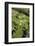 Remuera Golf Course, Auckland, North Island, New Zealand-David Wall-Framed Photographic Print